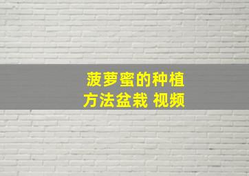 菠萝蜜的种植方法盆栽 视频